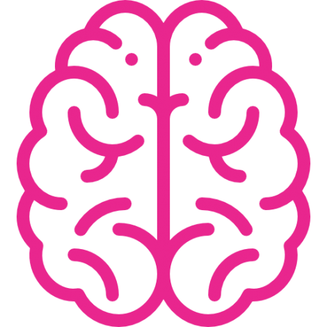 brain